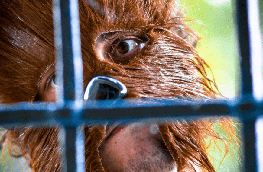 Quello che ho capito ascoltando il primo disco di Piccoli Bigfoot
