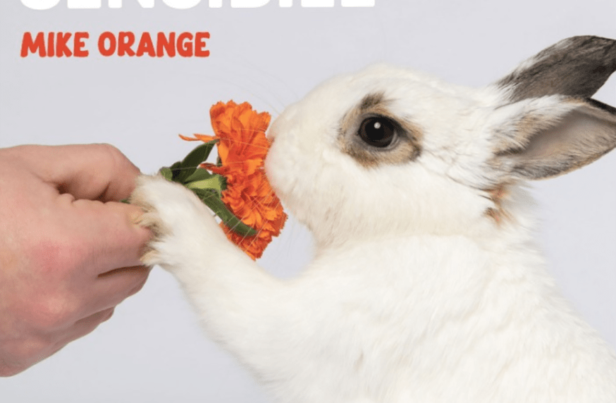 Soluzioni sensibili per un mondo complicato: il nuovo disco di Mike Orange || Recensione