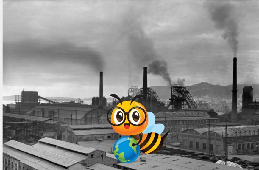 PRAMUDA e “BEE’S DREAM”: Un inno alla natura e alla creatività musicale